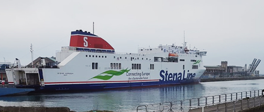 Transport von Bullen und Zuchtfärsen