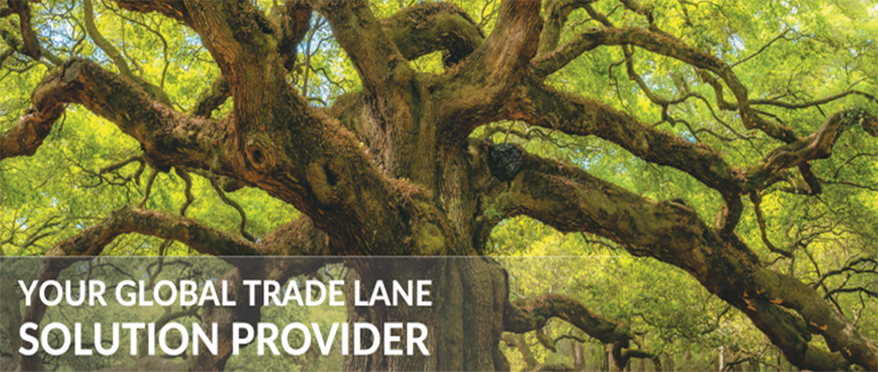 AsstrA is Your global trade lane soluti...