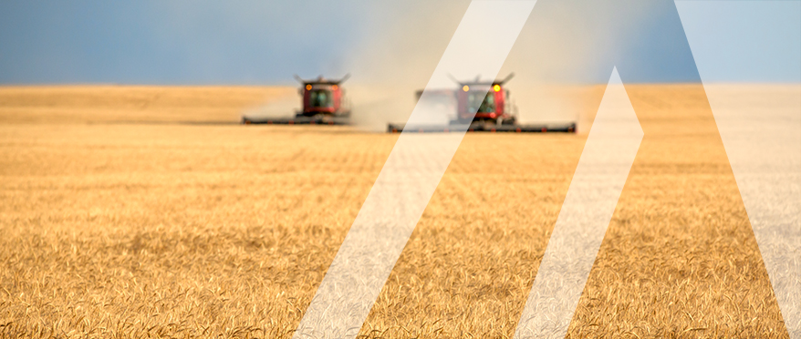 Landwirtschaft