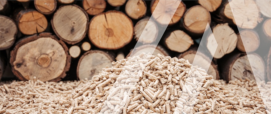 Holzpellets und Schnittholz
